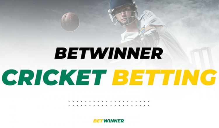 Reddy Anna Book: Your Go-To for Cricket Betting and More