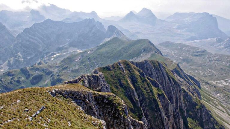 What Is The Official Website Url Of 99 Exch Com?